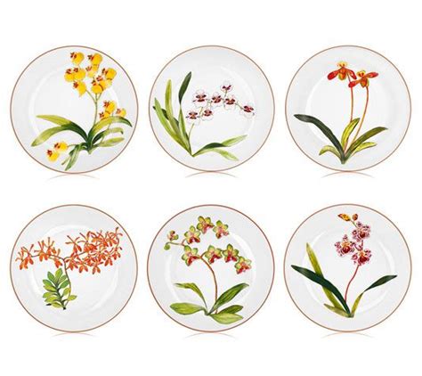 hermes orchid china|Hermes Porcelain Set .